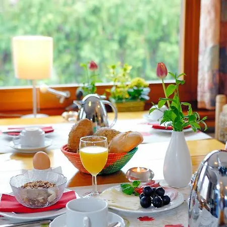 Bellevue Hotel St. Blasien