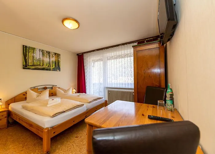 Bellevue מלון 3*