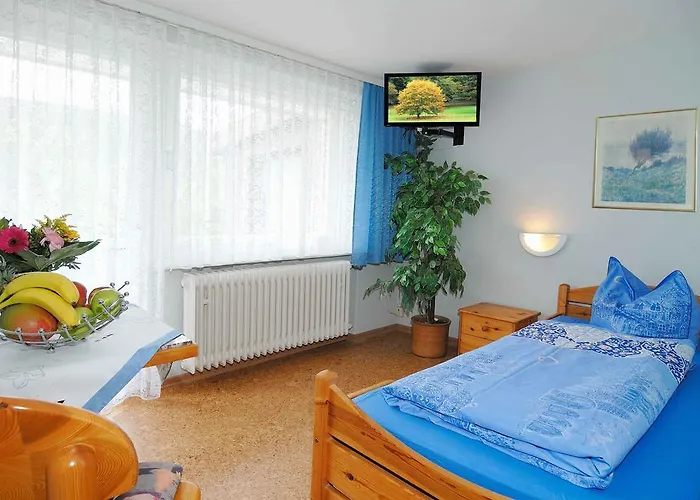 Bellevue סאן בלאסיין